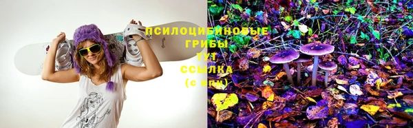 мескалин Осташков
