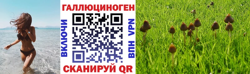 Галлюциногенные грибы MAGIC MUSHROOMS  Салаир 